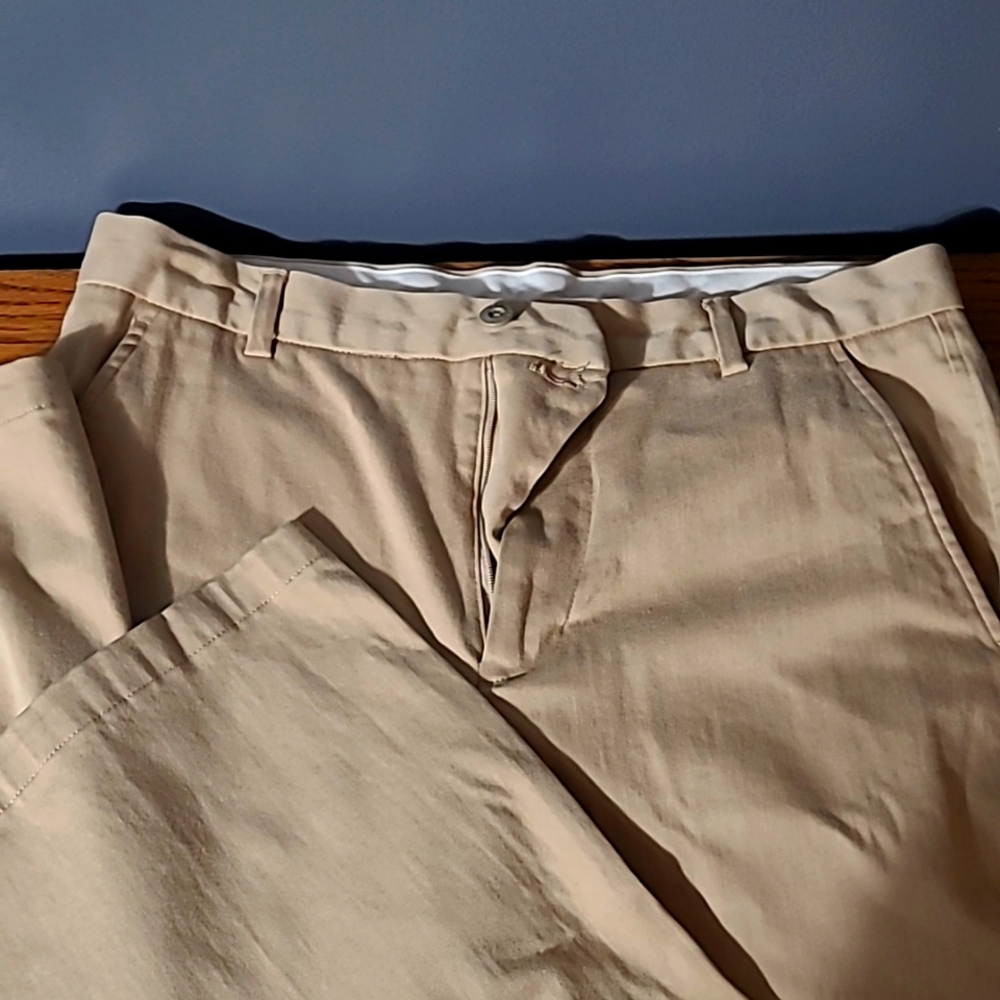 Express pants